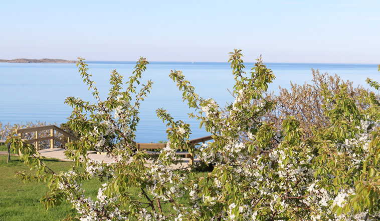Utsikt över havet vid folkhögskolan.