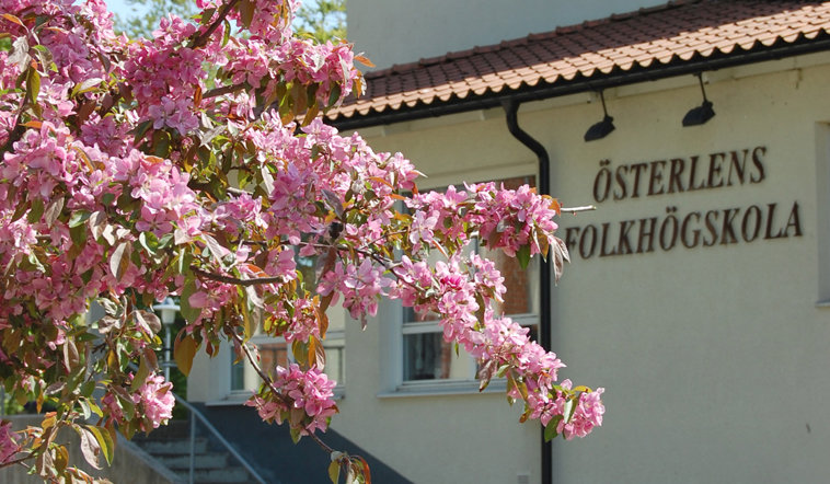 Österlens folkhögskola