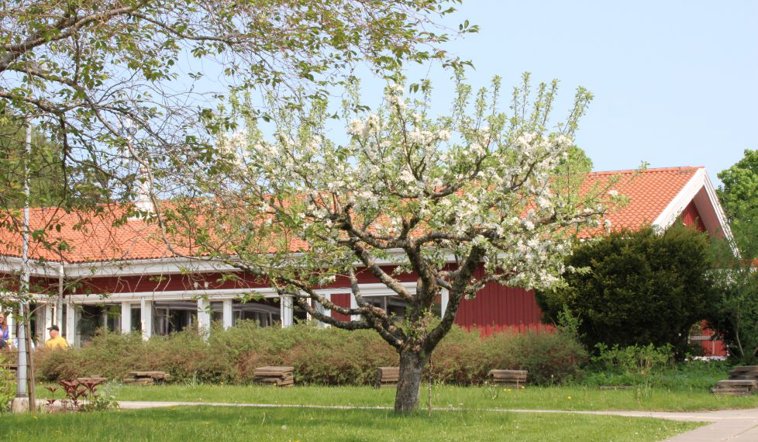 Fristads folkhögskola
